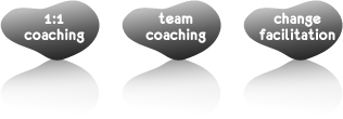 1:1 coaching  team coaching  change facilitation